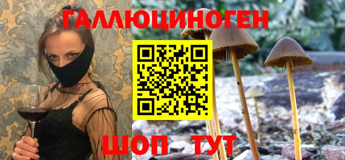 Галлюциногенные грибы прущие грибы Орехово-Зуево
