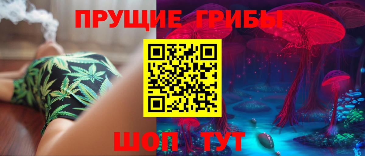 Орехово-Зуево  Галлюциногенные грибы Cubensis  Вход с VPN 