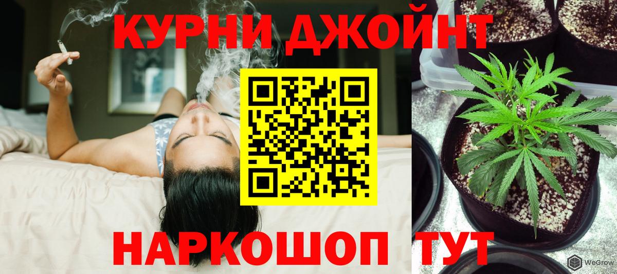 Бошки марихуана Bruce Banner  Канабис планчик  Канабис конопля  Орехово-Зуево  Вход с VPN 